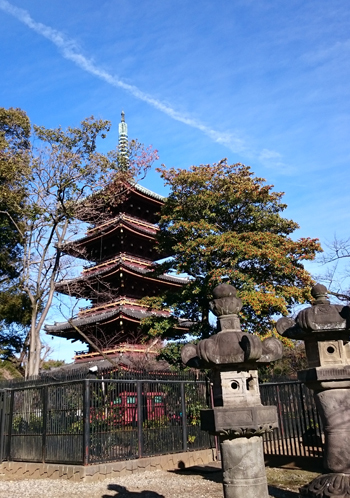 d0113613_16024804.jpg