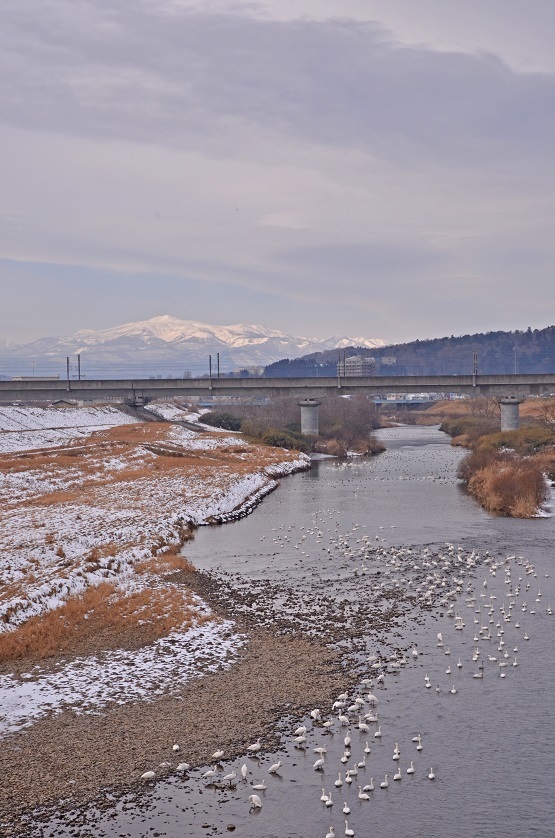 e0349817_19424608.jpg