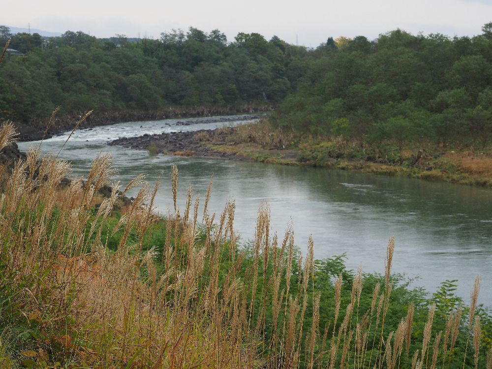 b0204819_21500237.jpg