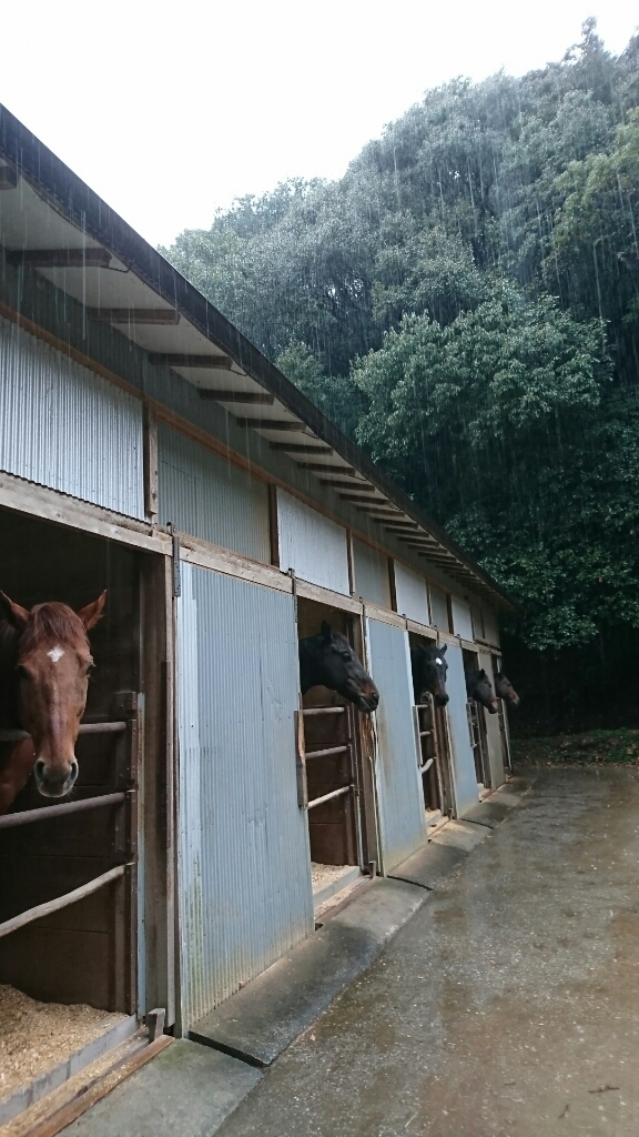 b0187620_17471852.jpg