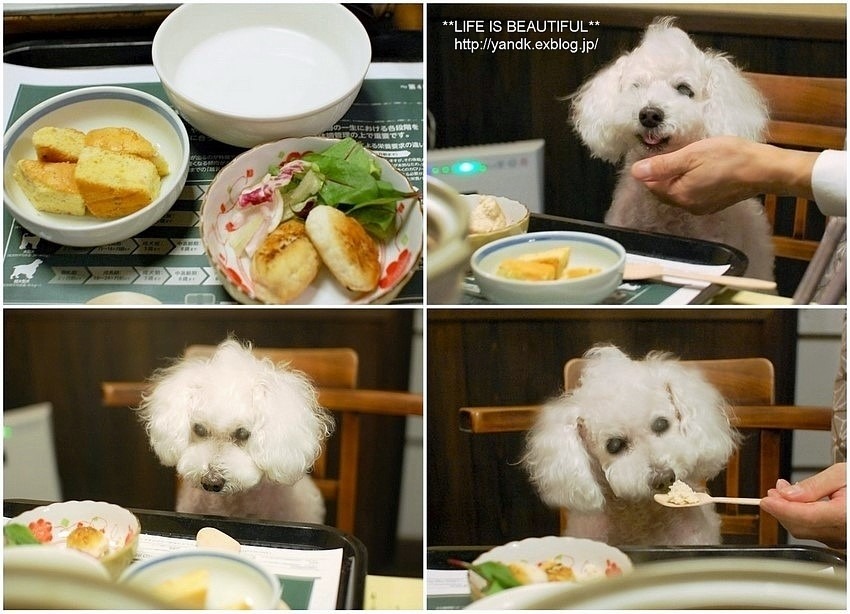 はんなりと①_d0083623_16571923.jpg