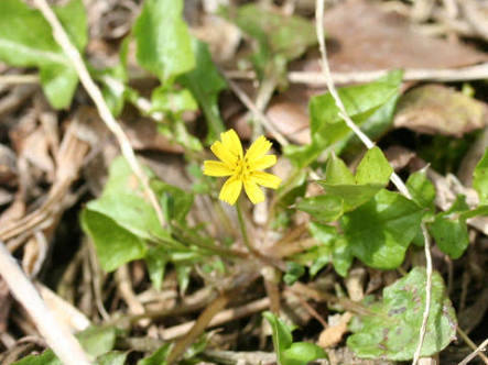 a0050728_11205372.jpeg