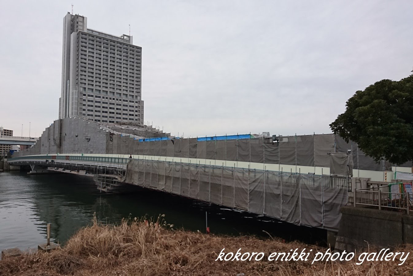 「雨が降る前に」白髭橋からスカイツリー_d0372528_11411880.jpg