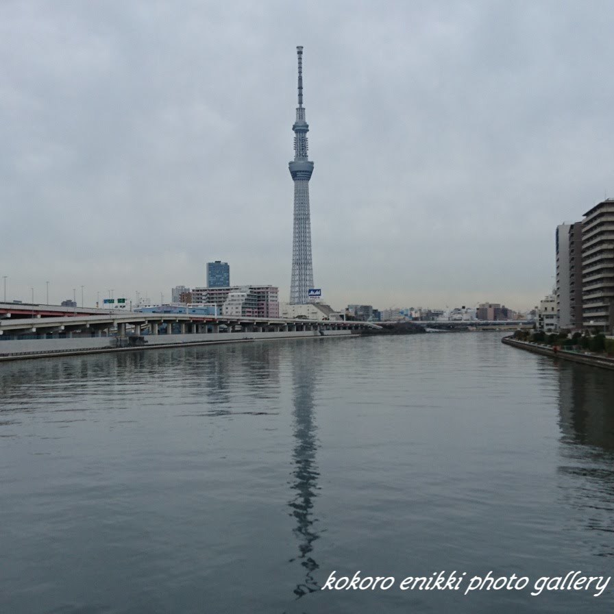 「雨が降る前に」白髭橋からスカイツリー_d0372528_11415121.jpg