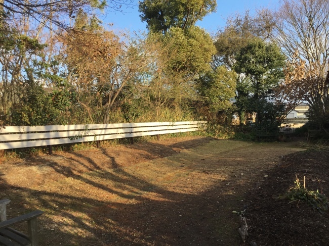 風雅舎 12月25日_a0163529_22352333.jpeg