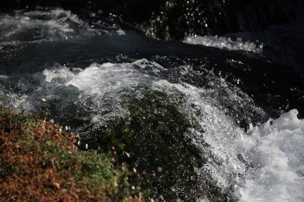 f0229832_09313635.jpg