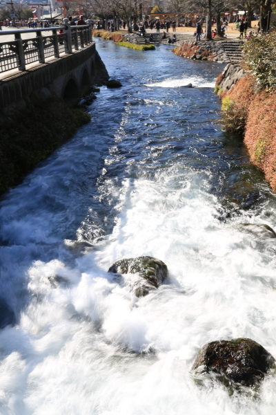 f0229832_09320606.jpg