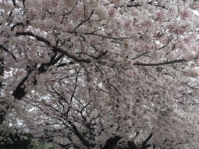 f0332332_11203596.jpg