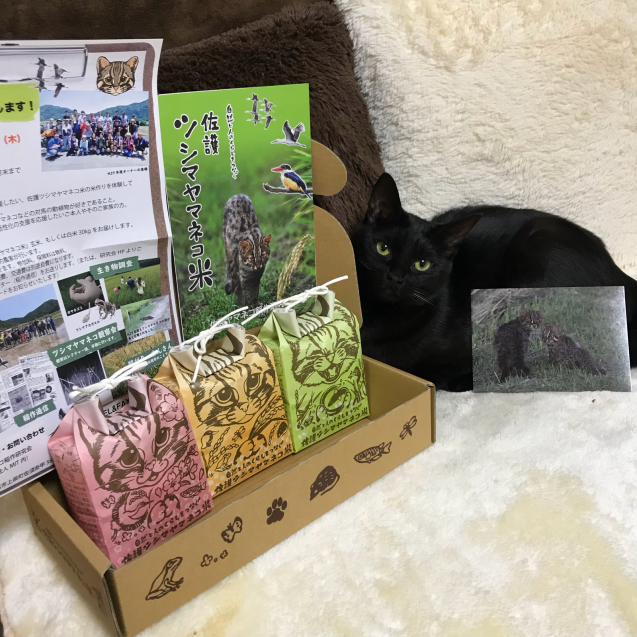 ツシマヤマネコ米の新パッケージ!_d0355333_21191755.jpg
