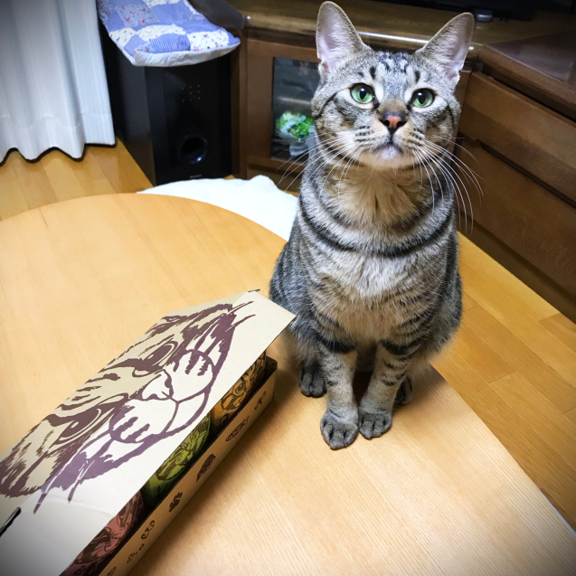 ツシマヤマネコ米の新パッケージ!_d0355333_21191991.jpg