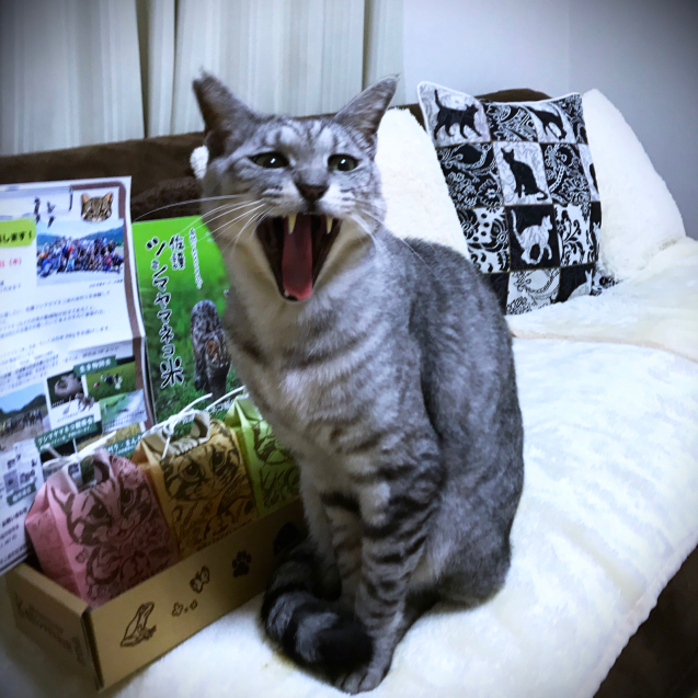 ツシマヤマネコ米の新パッケージ!_d0355333_21195585.jpg