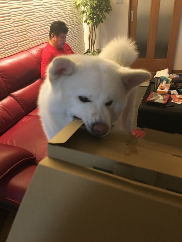 e0364035_03233371.jpeg