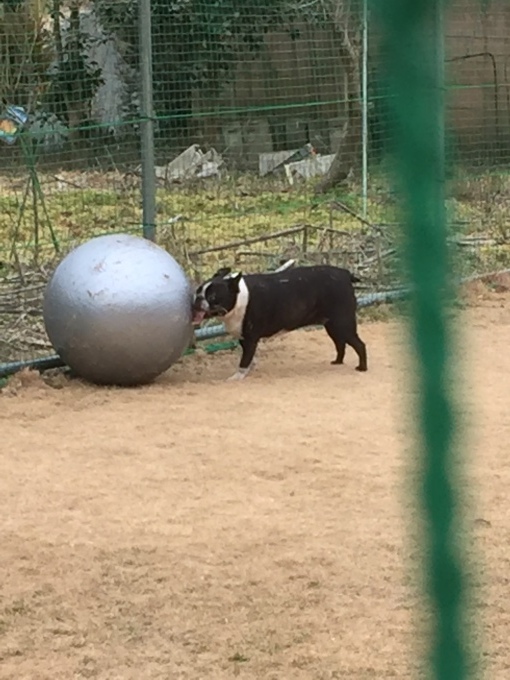 b0369239_12021643.jpeg