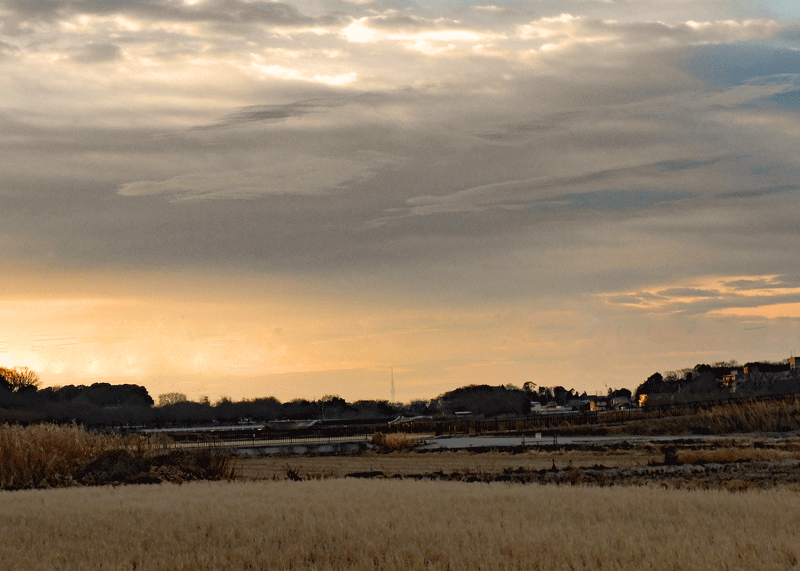 d0290240_11423677.gif