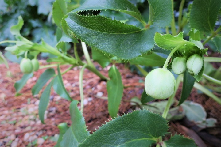e0300042_21155007.jpg