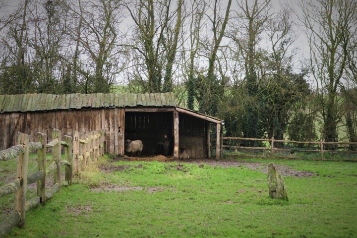 e0300042_21165603.jpg
