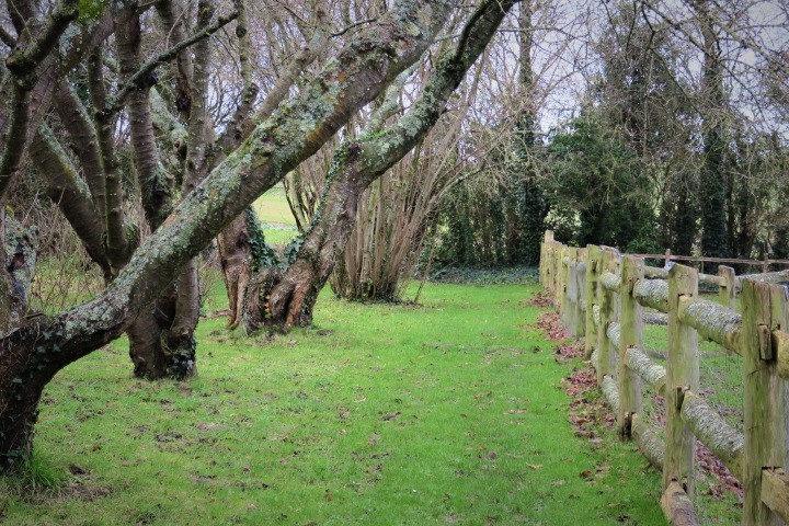 e0300042_21171697.jpg