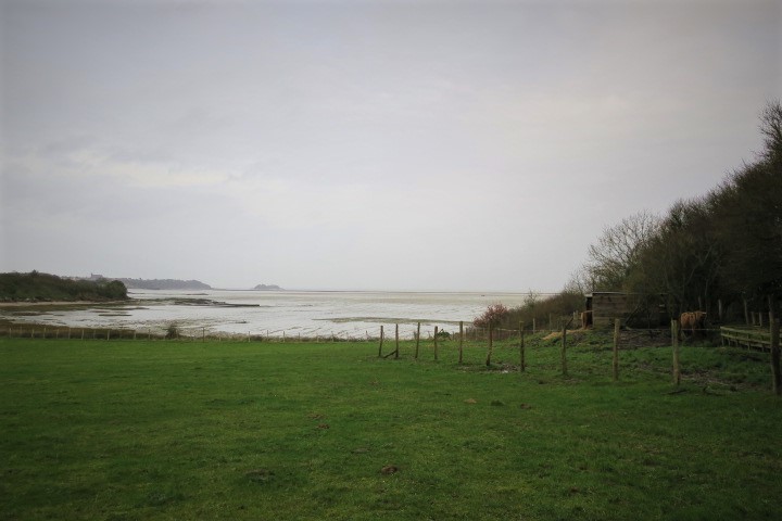 e0300042_21183248.jpg