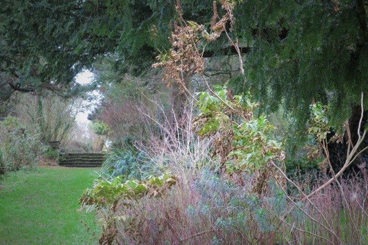 e0300042_21202241.jpg