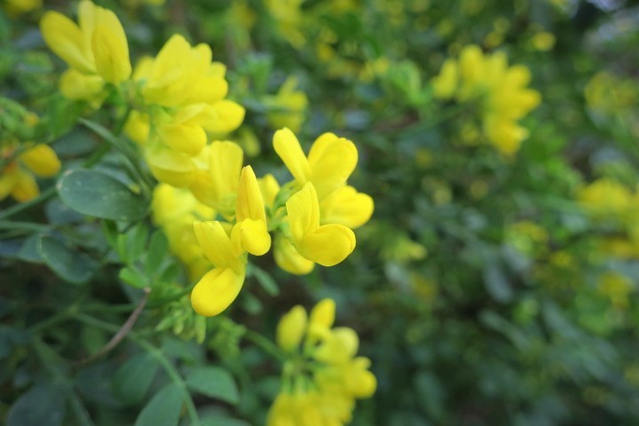 e0300042_21332880.jpg