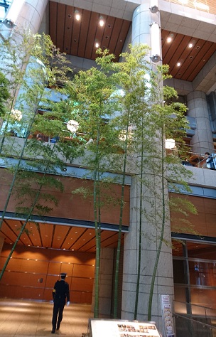 f0087347_1117045.jpg