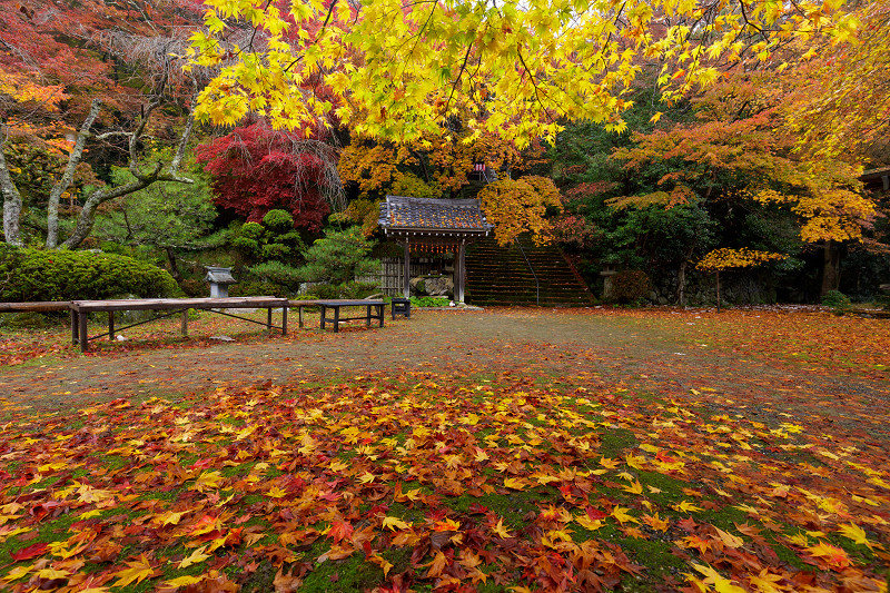 京都の紅葉17 山寺 金蔵寺の秋模様 花景色 K W C Photoblog 京都の紅葉17 山寺 金蔵寺の秋模様 花景色 K W C Photoblog