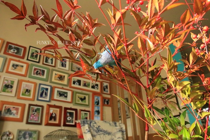 c0145250_09105676.jpg