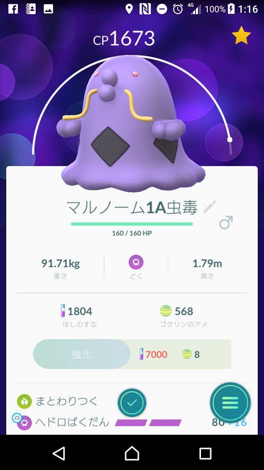 ポケモンGO！～第3世代進化_f0037753_03305578.jpg