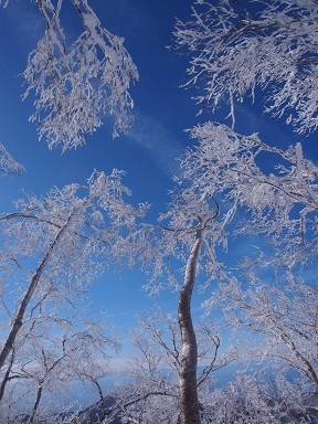 霧氷の黒桧山・駒ヶ岳周回　　2018.１.７（日）_b0335256_11551111.jpg