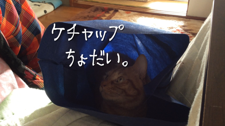 a0022958_19425710.png