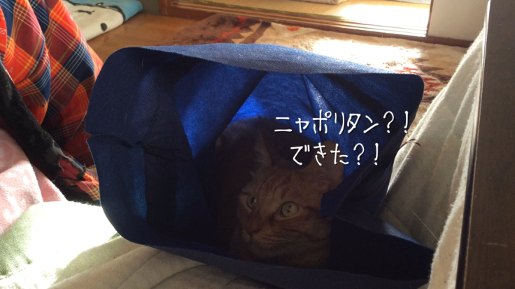a0022958_19425856.png