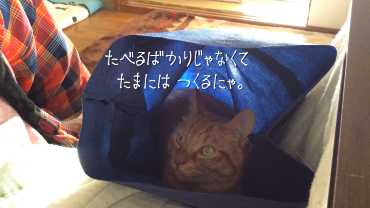 a0022958_19430023.png