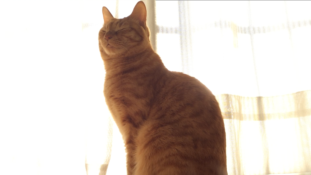 a0022958_20503458.png