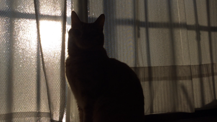 a0022958_20503694.png