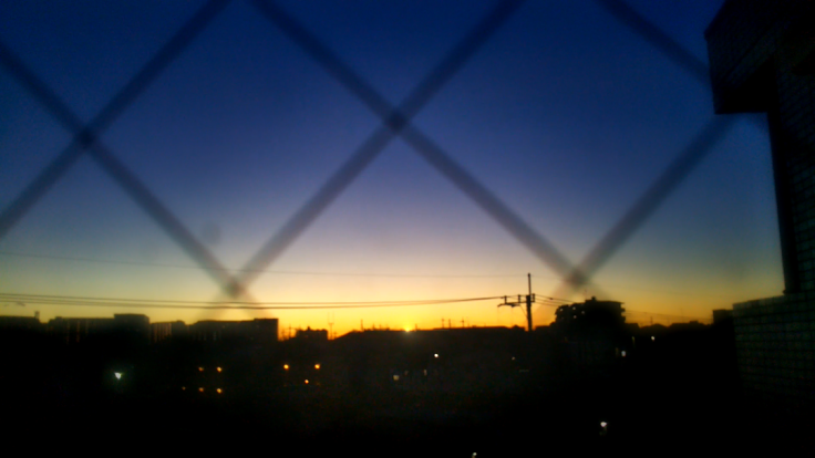 a0022958_20583223.png