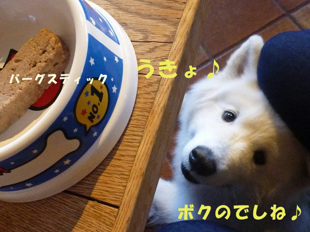 ★唯一残ったのはコンソメ味だけだったでしねー編★_e0176159_11591017.jpg