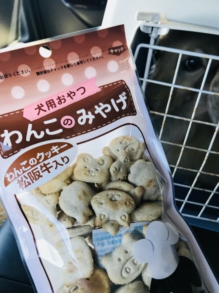 正月休み終了~(\'ω\')_c0327061_11493642.jpg