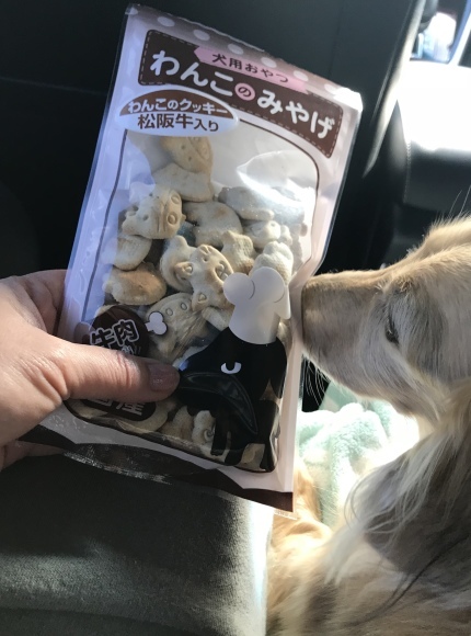 正月休み終了~(\'ω\')_c0327061_12001428.jpg