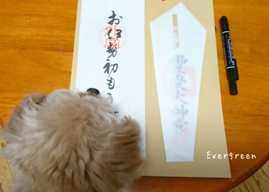 人生わんこ。_d0362666_16073152.jpg