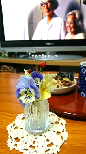 人生わんこ。_d0362666_17512375.jpg
