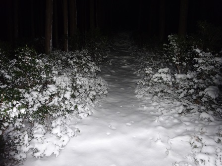 c0303868_10072850.jpg
