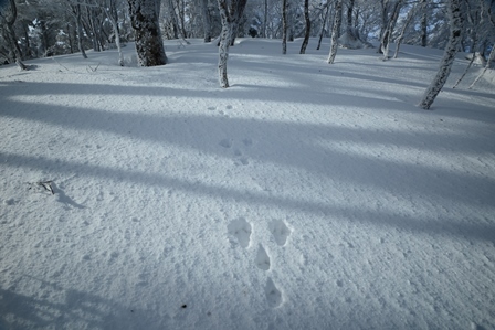 c0303868_10245637.jpg