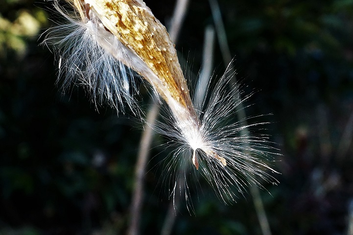 c0248473_16201042.jpg