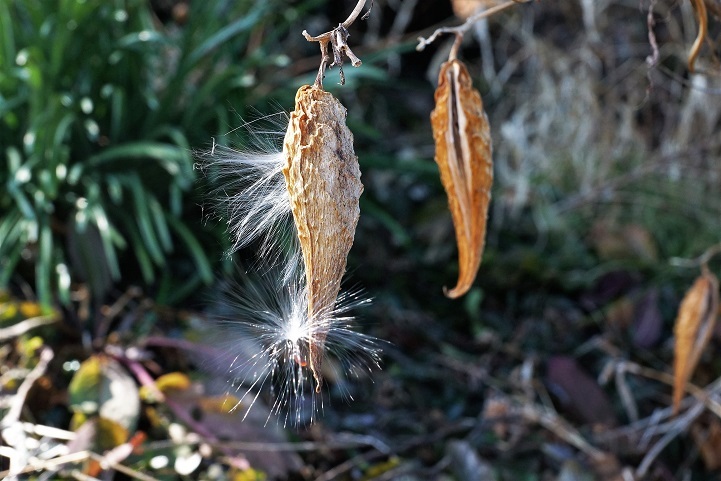c0248473_16202764.jpg