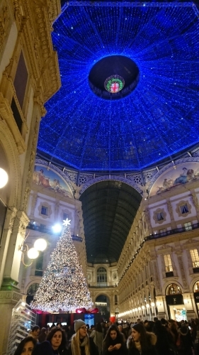 e0212073_10373941.jpg