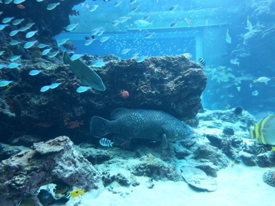 b0144174_14465480.jpg