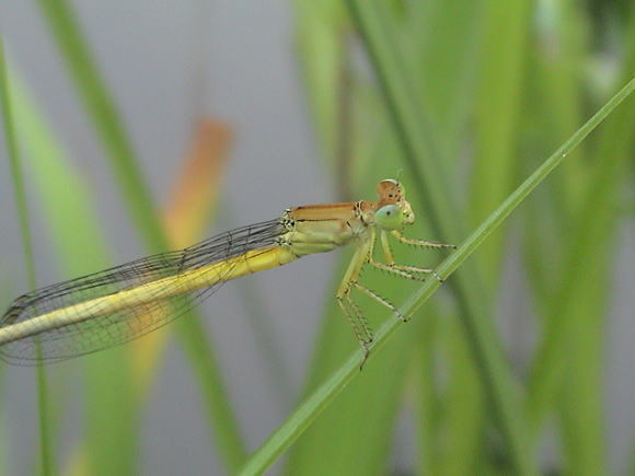 a0268377_22011106.jpg