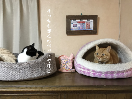 a0216583_23511010.png