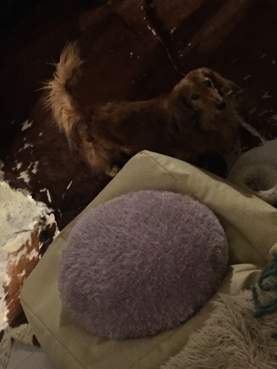 b0098584_16374560.jpeg