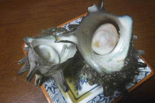 c0204385_20491112.jpg